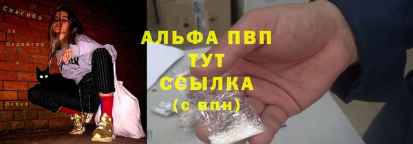 спиды Богданович