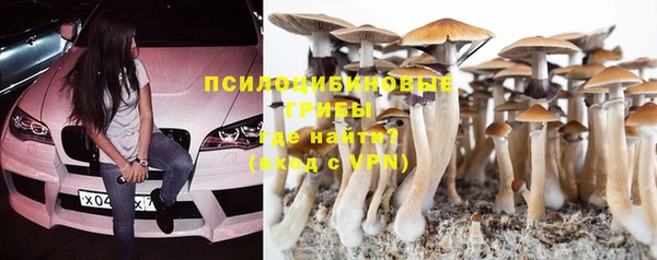 спиды Богданович