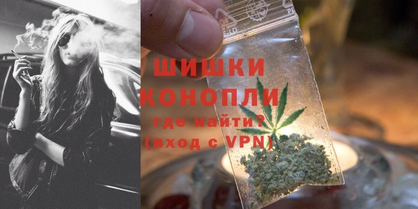 спиды Богданович