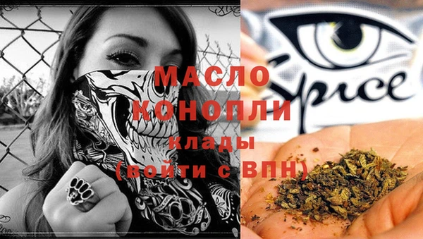 mix Бородино