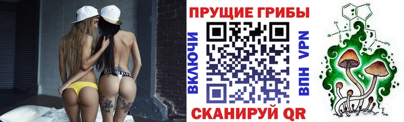 гидра tor Цивильск Псилоцибиновые грибы GOLDEN TEACHER